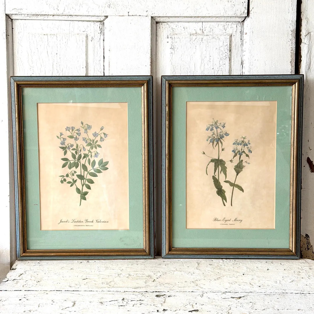 Vintage Floral Botanical Prints Mary Walcott Framed - Etsy | Etsy (US)