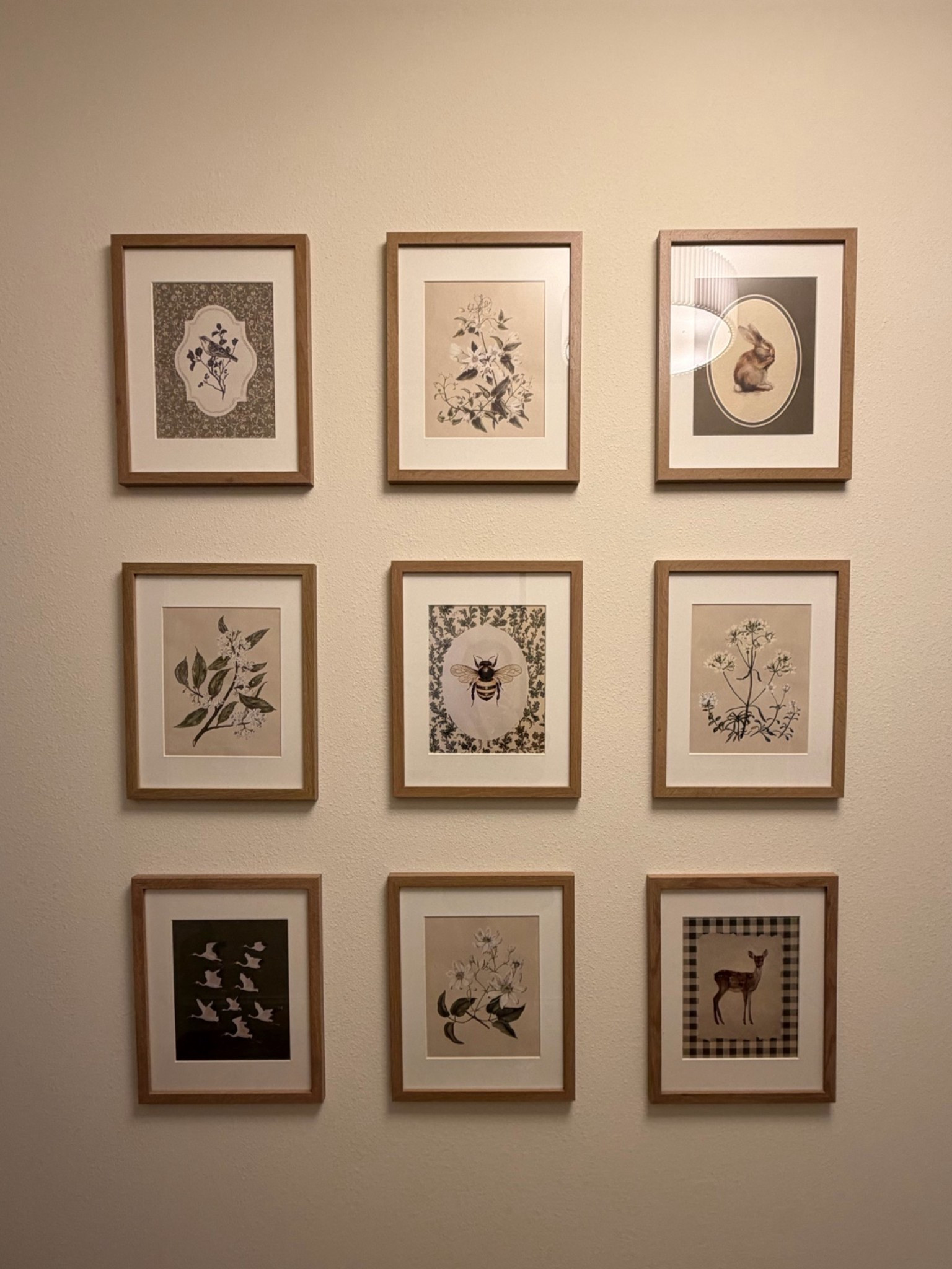 Basement photo frames!! Love these!