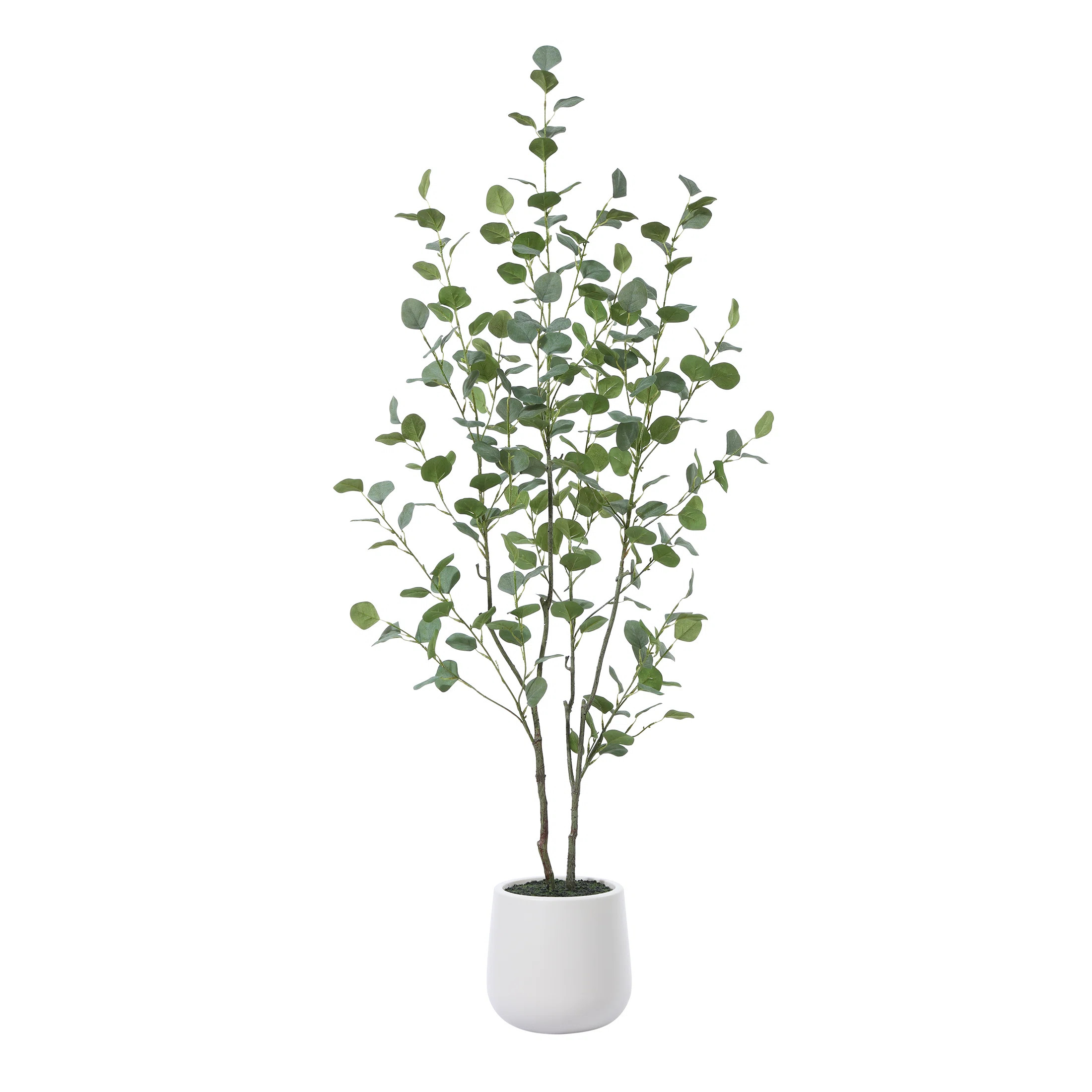 Adalia Faux Eucalyptus Tree with Oval White Planter, Pre Potted Artificial Eucalyptus Plant for H... | Wayfair North America
