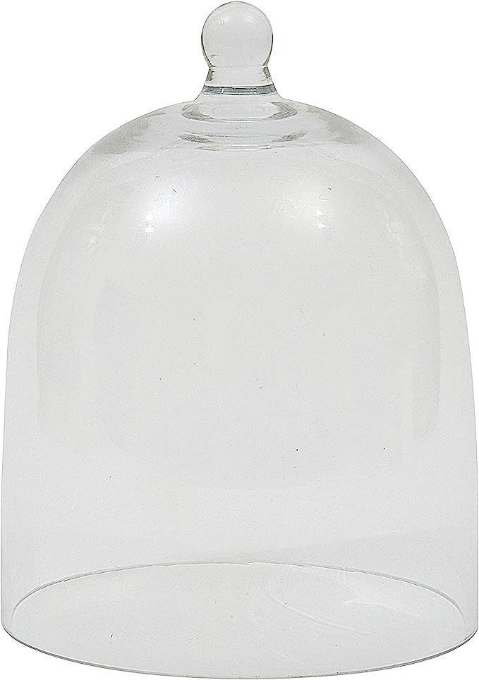 Creative Co-op DA3225 Clear Glass Cloche + Free Shipping | Amazon (US)