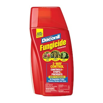 Daconil 16-oz 16 -oz Concentrated Fungicide | Lowe's