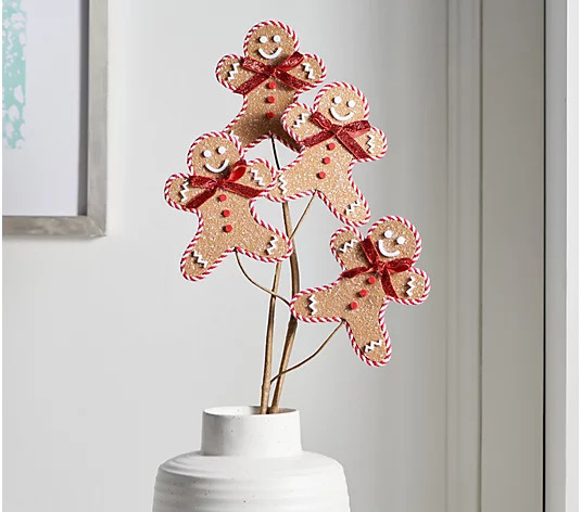 Set of 3 Gingerbread Boy Picks by Valerie - QVC.com | QVC