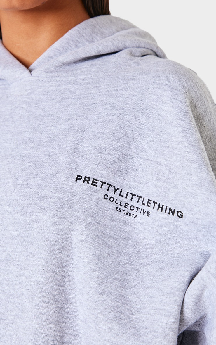 PRETTYLITTLETHING Ash Grey Collective Printed Hoodie | PrettyLittleThing US