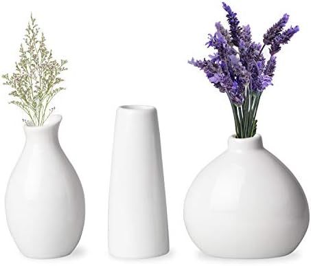 3 White Vases for Decor, Small White Vase Ceramic Vases for Home Decor | Amazon (US)