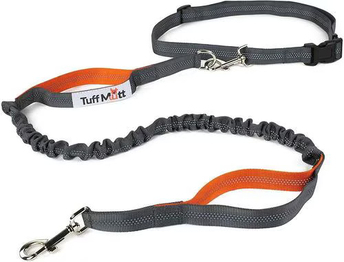 Tuff Mutt Hands-Free Bungee Leash, Gray & Orange | Chewy