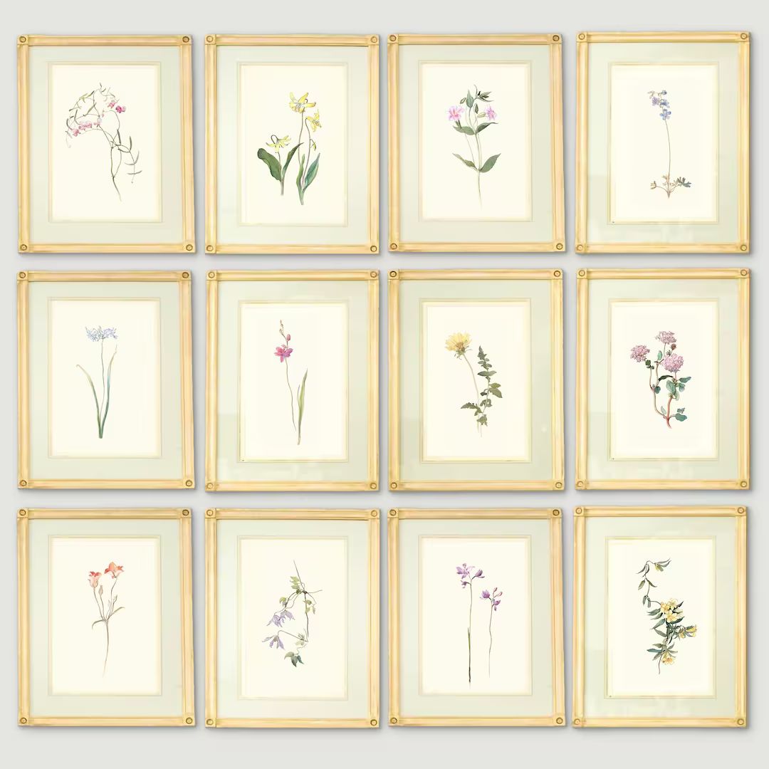 Collection of Vintage Botanical Prints, Set of 12 Antique Botanical Prints, Rustic Botanical Wall... | Etsy (US)