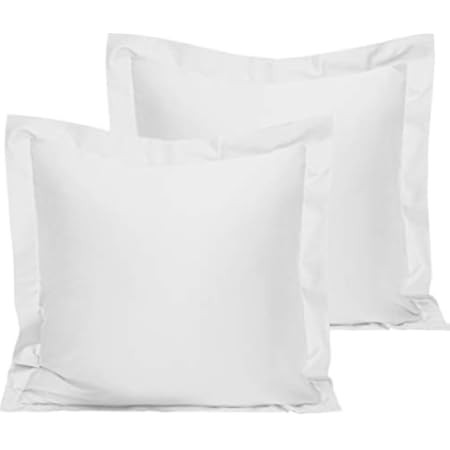 NTBAY 100% Brushed Microfiber European Square Throw Pillow Cushion Cover Set of 2, Soft and Cozy, Wr | Amazon (US)