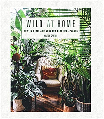 Wild at Home: How to style and care for beautiful plants     Hardcover – April 9, 2019 | Amazon (US)