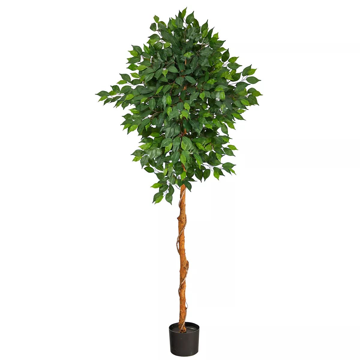 6’ Ficus Artificial Tree | Kohl's