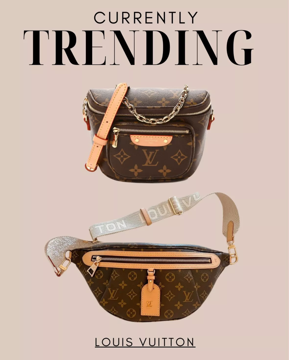 Louis Vuitton fanny pack /waist bag / bodybag lv