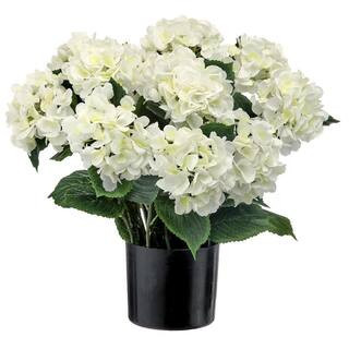 22"" Potted Garden Hydrangea | The Home Depot