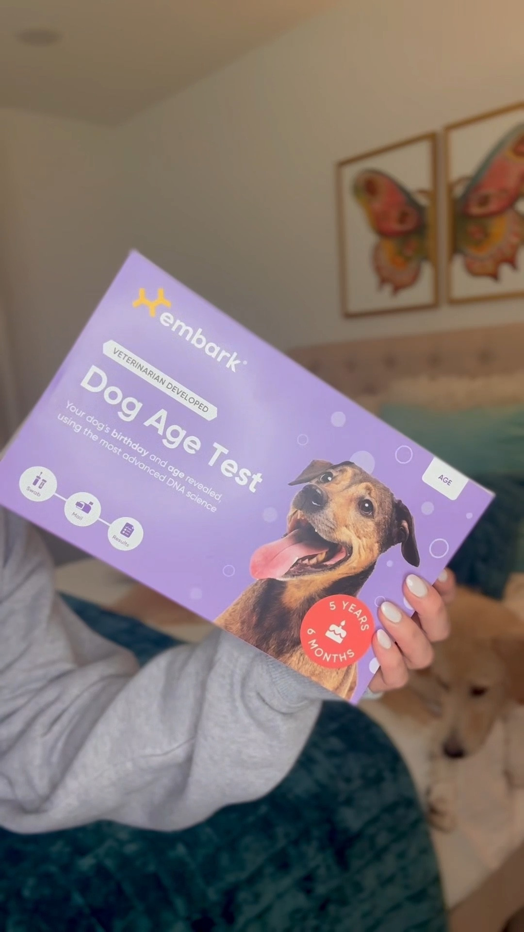 We’ve always wondered how old Petal really is… and now we’re finally going to find out! 🐶💛

She was found tied to a tree with no history, no birthday, and no clue how old she might be. That’s why we partnered with @embarkvet to take their super simple age test! 🧬 In just a few weeks, we’ll finally get some answers.

✨ Until then—drop your guesses below! How old do YOU think Petal is? 👇

And if you’ve got a rescue pup with a mystery past, click the link in my bio to shop Embark and start uncovering their story too. #EmbarkVet #PetalTheRescue #DogDNA #RescueDogLove #AdoptDontShop #GuessHerAge 