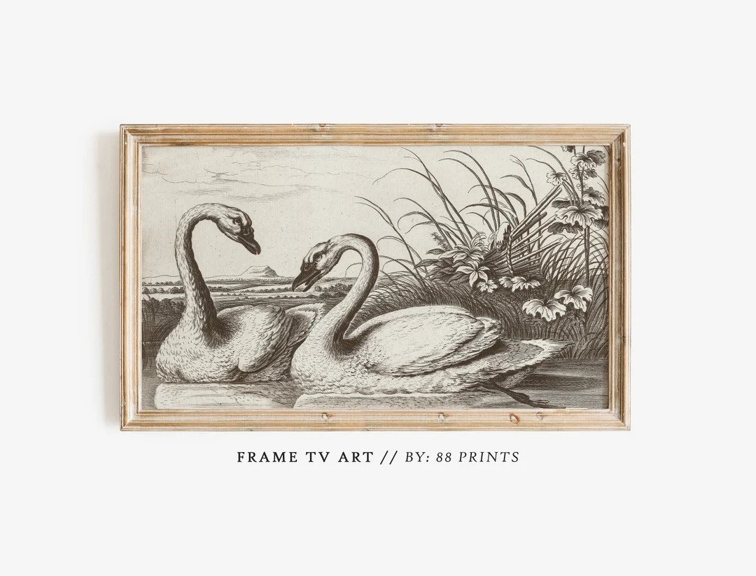Swans  Samsung Frame TV Art | Valentines Frame TV Art | Valentine's Day  Art | Valentin'e Day Dec... | Etsy (US)