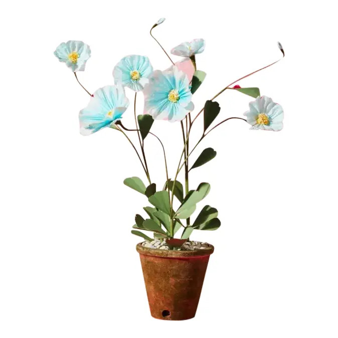 The Green Vase Himalayan Poppy Plant | Chairish