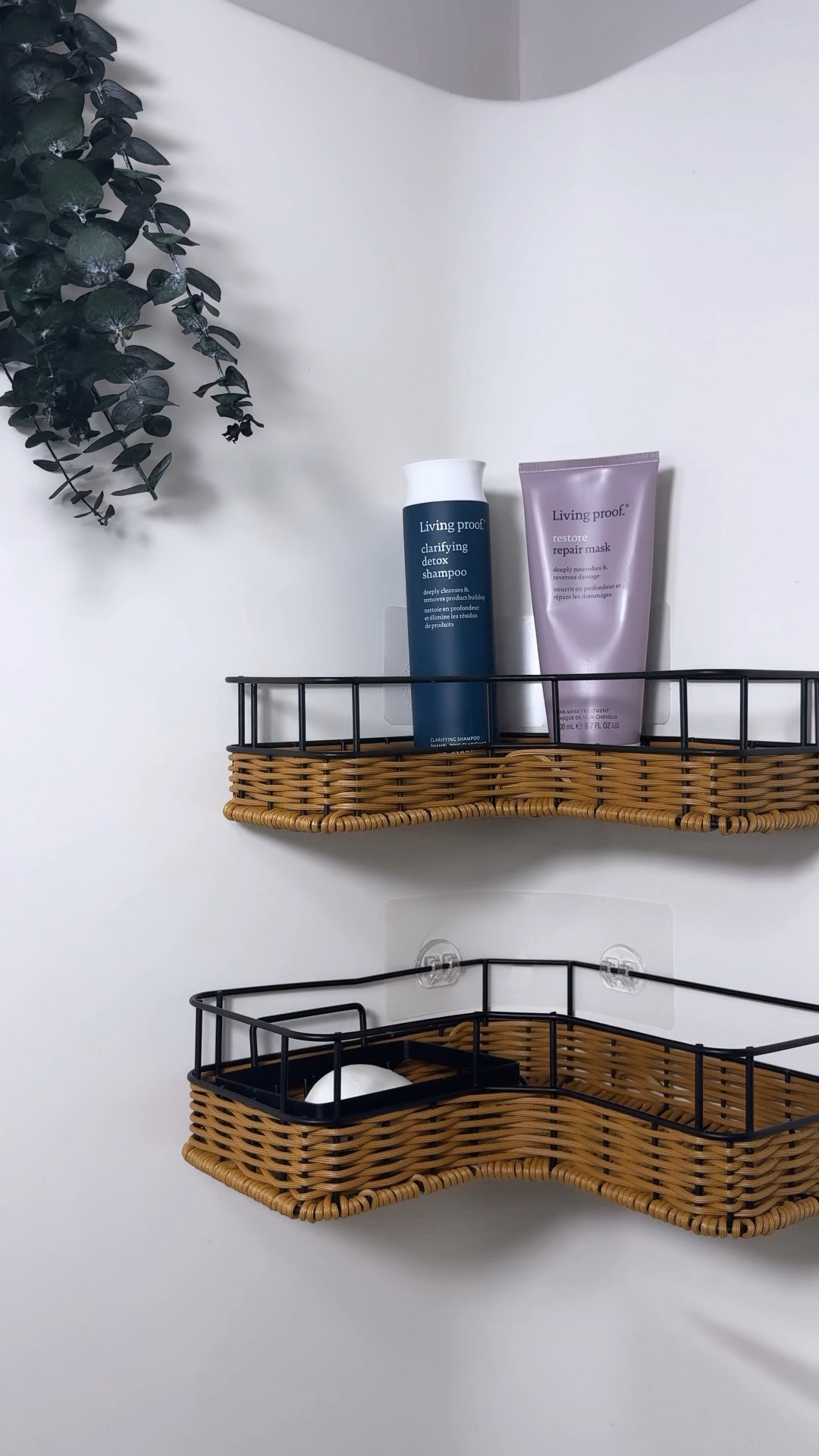 Favorite shampoo & deep conditioner combo!!! 

#LTKplussize #LTKMostLoved #LTKbeauty