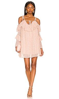 Tularosa Solange Lace Mini Dress in Blush from Revolve.com | Revolve Clothing (Global)