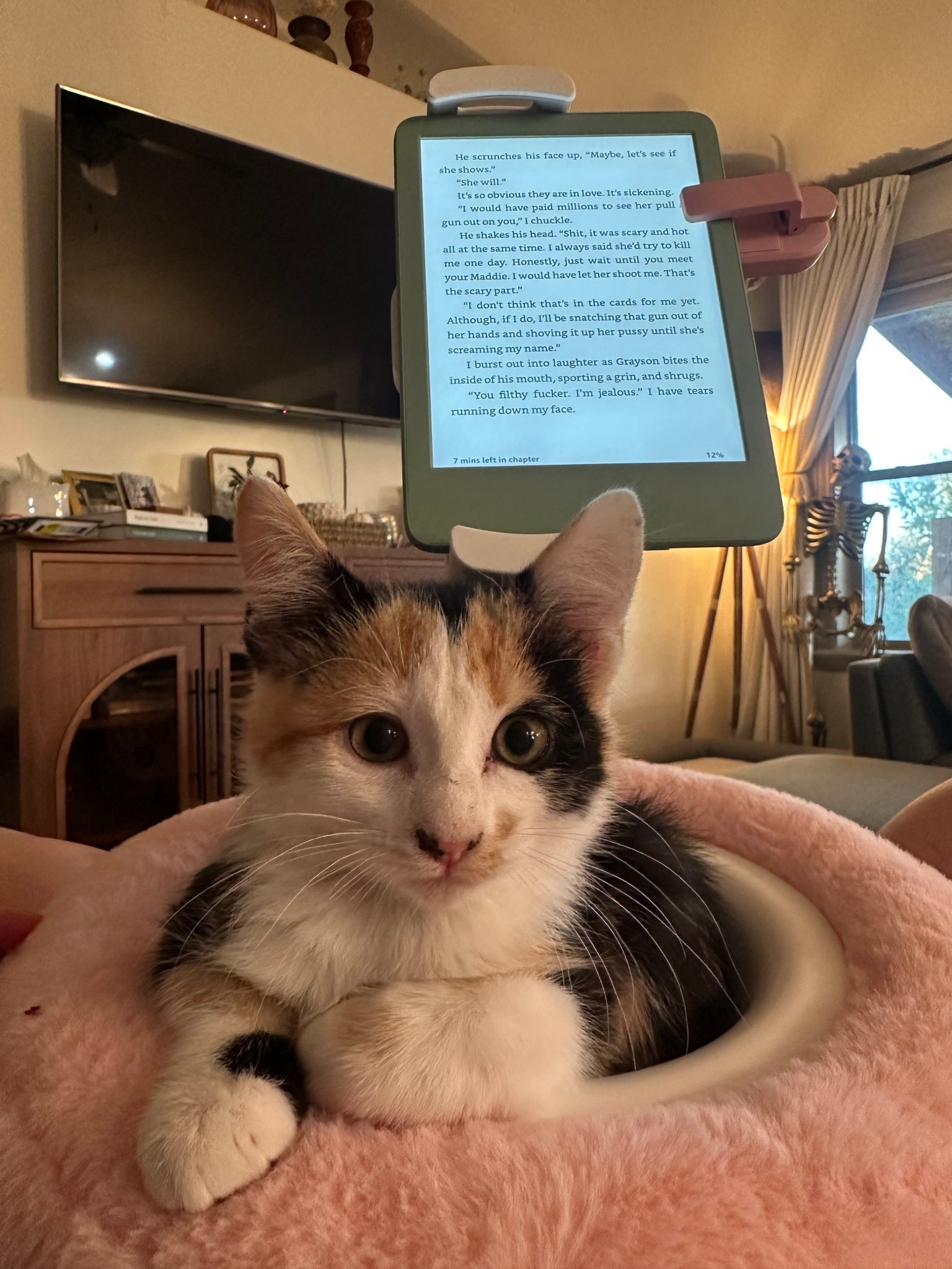 The bowl is for snacks or remotes but my kitten thinks it’s for her 😂 I love this kindle setup! The stand holds my kindle for me and I have the remote that connects to the page turner! Perfect gift idea for the reader in your life!



#LTKSaleAlert #LTKFindsUnder50 #LTKHome