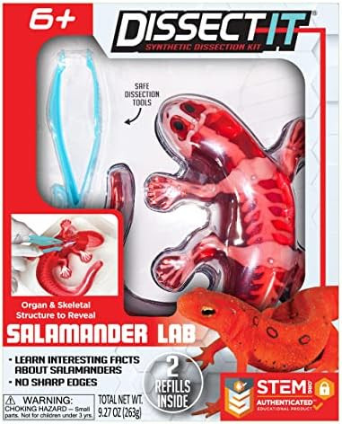 Dissect-It Simulated Synthetic Lab Dissection STEM Toy, Kids' Home Learning Science Project, Grea... | Amazon (US)