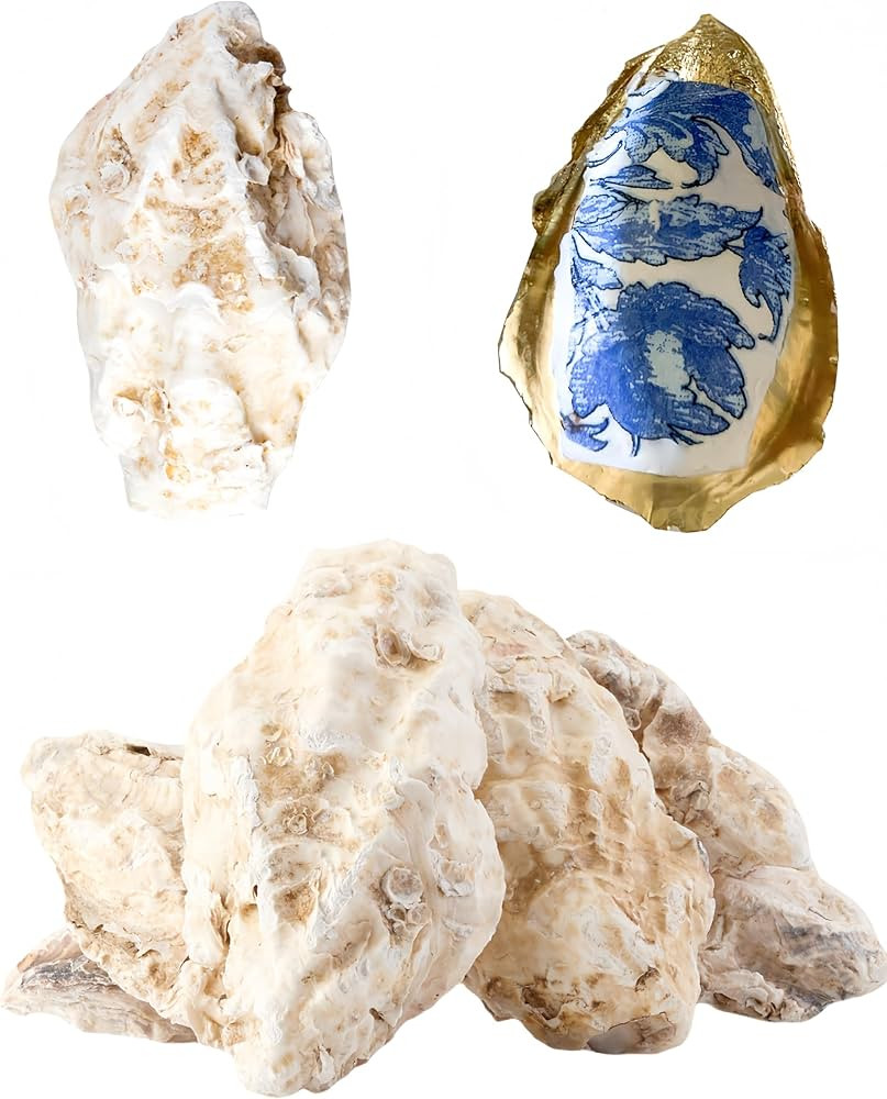 10Pcs Extra Large Oyster Shells for Crafts （ 5"-6"）, Oyster Shell for Crafting、Painting、W... | Amazon (US)