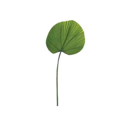 Fan Palm Leaf - Set of 2 | Cailini Coastal