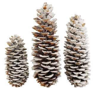 Jumbo Flocked Pinecones by Ashland® | Michaels Stores
