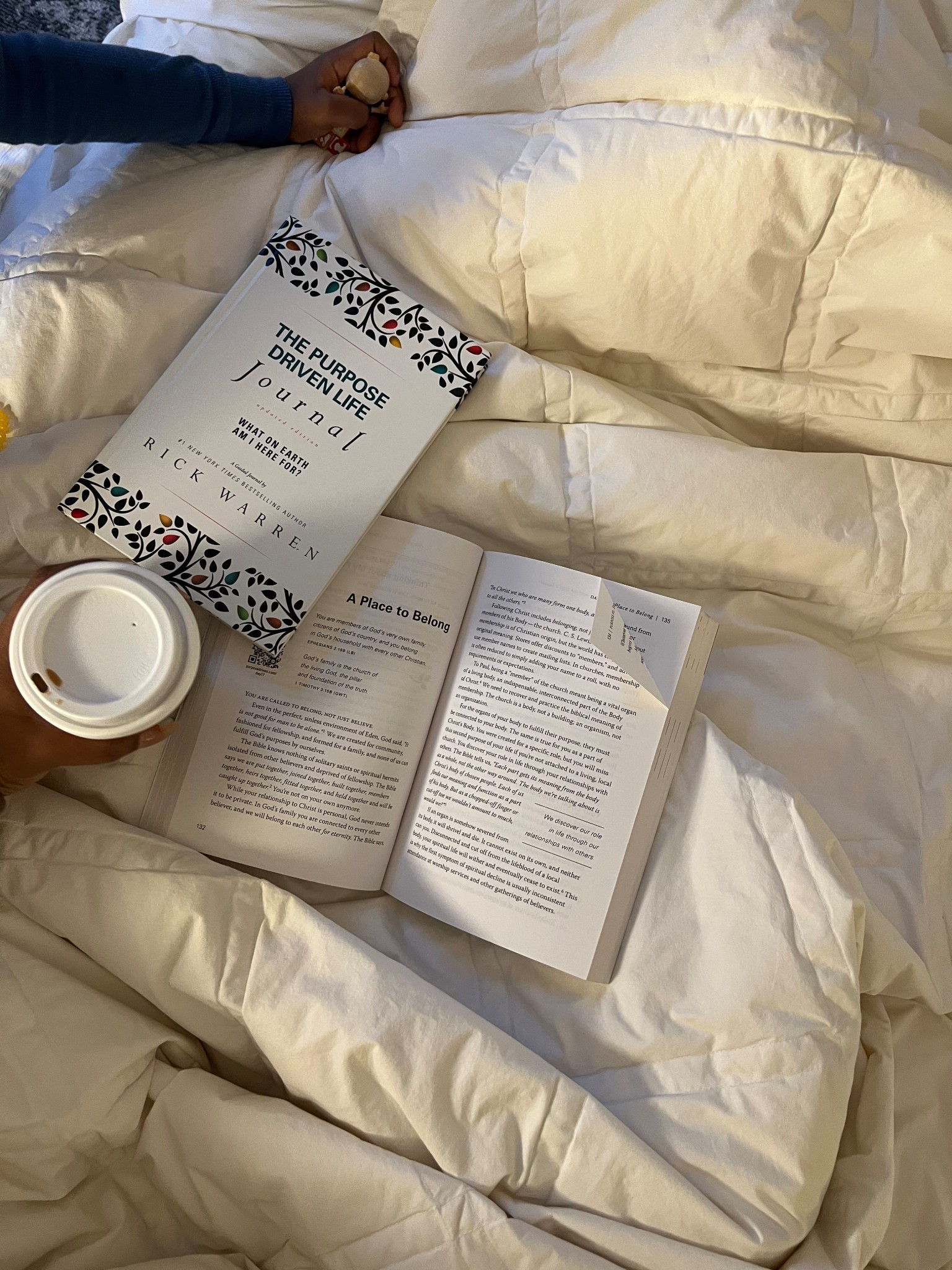 One of my favorite books that I can read again and again! 

#LTKFindsUnder50 #LTKHome #LTKFindsUnder100