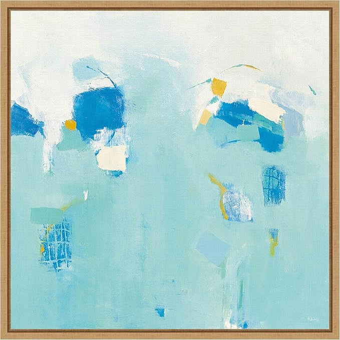 Amanti Art Framed Canvas Wall Art Print Splash by Phyllis Adams (16 in. W x 16 in. H), Sylvie Map... | Amazon (US)