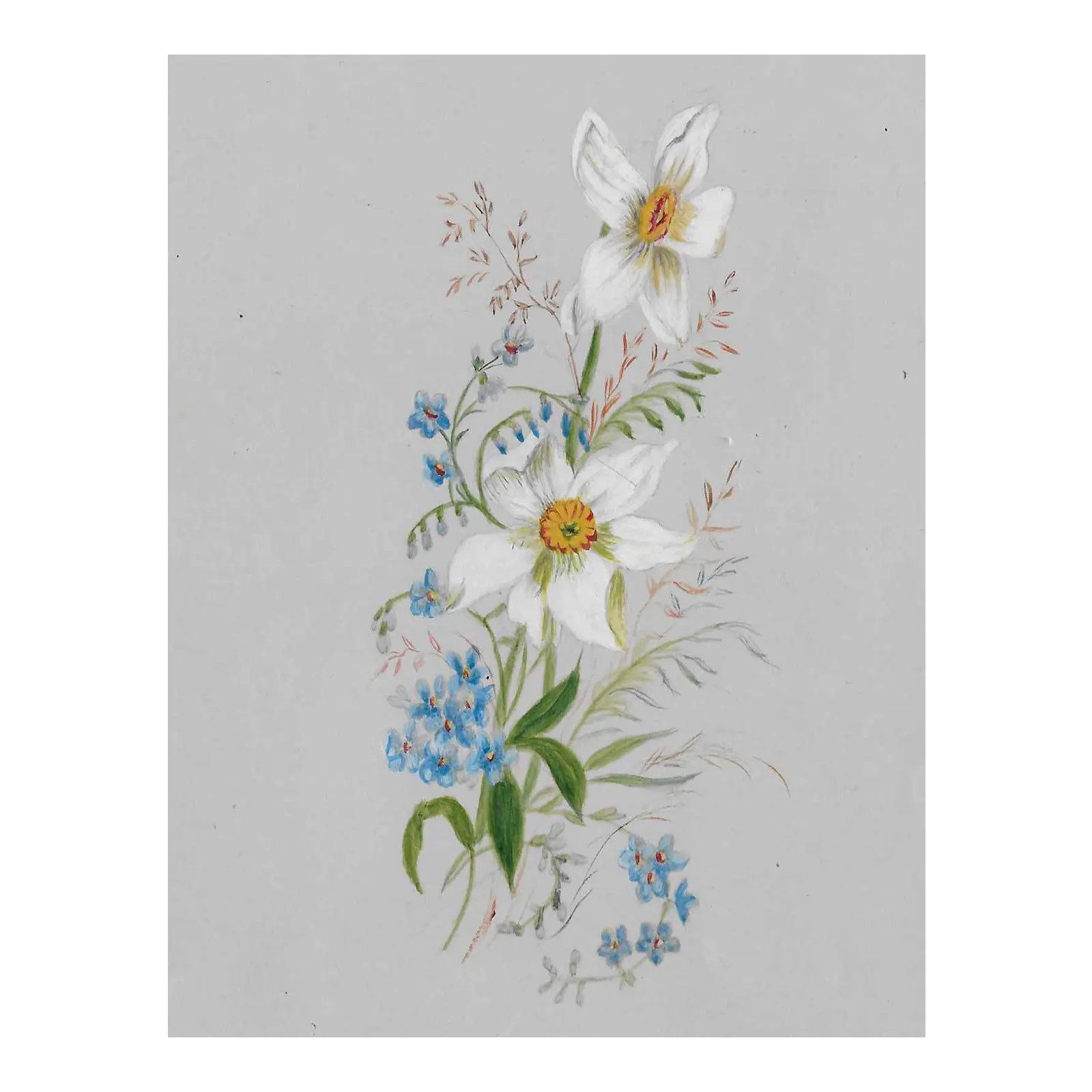 19th Century Botanical Watercolor | Chairish