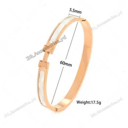 Hermmses Bracelet Designer Jewelry For Woman Gold Hermmesbracelets Armband Bangle Braclet Bijoux ... | DHGate