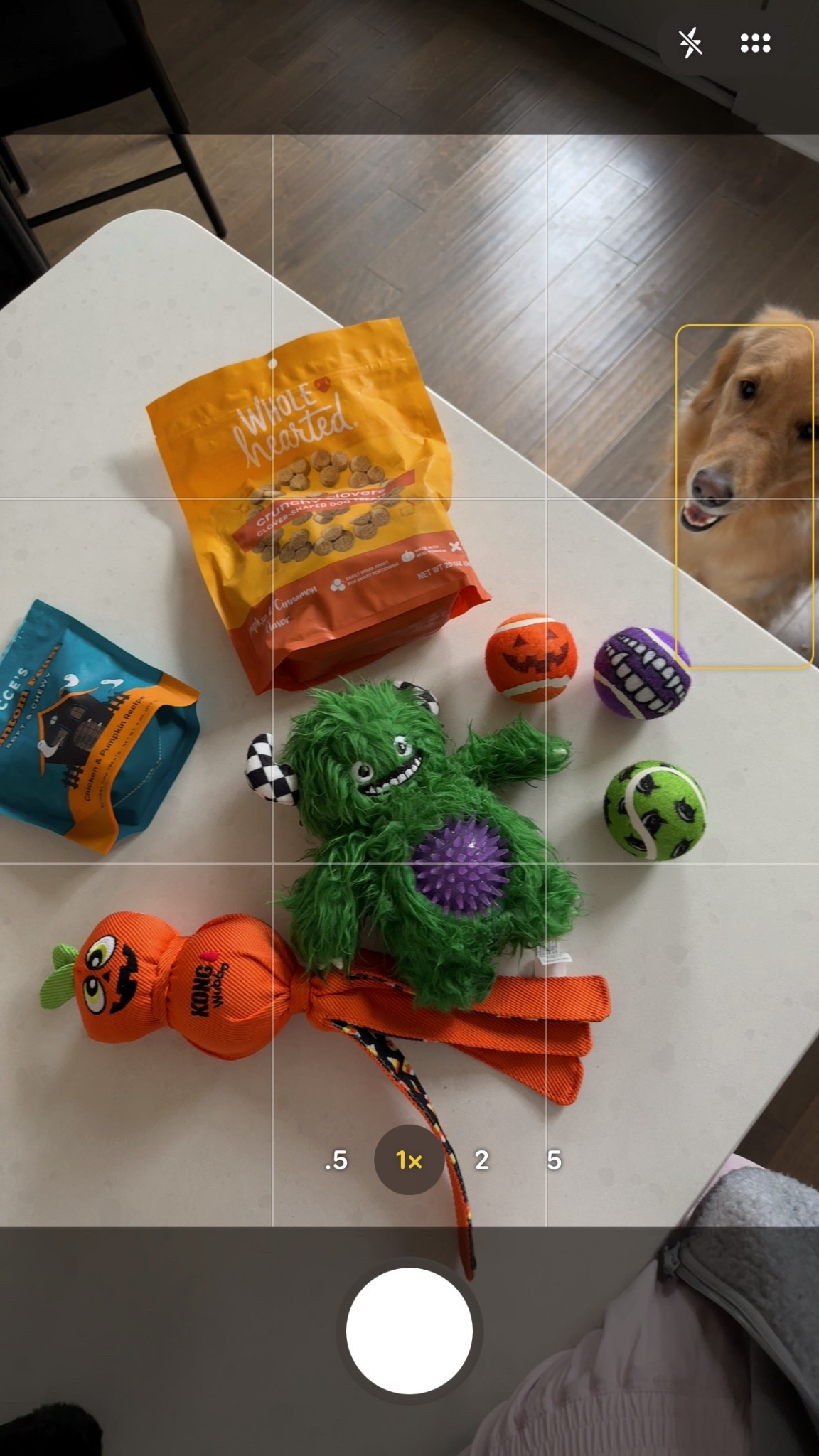 Seasonal favs from @petco — a one stop shop for toys, treats, costumes & more ! 

#petcopartner #paidlink #ad