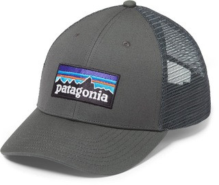 Patagonia   P-6 Logo LoPro Trucker Hat | REI