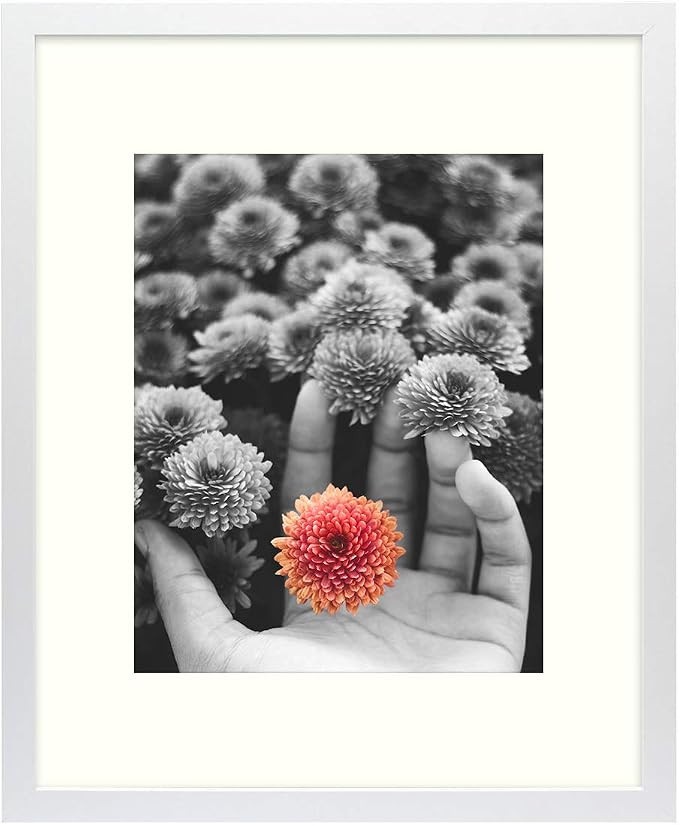 Frametory, 16x20 White Picture Frame - Made to Display Pictures 11x14 Photo with Ivory Color Mat ... | Amazon (US)