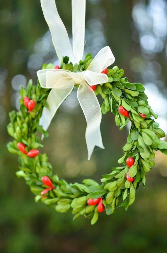 Christmas Mini Christmas Boxwood Wreath, Preserved Boxwood Wreath, Mini Holiday Wreath, mini boxwood | Etsy (US)