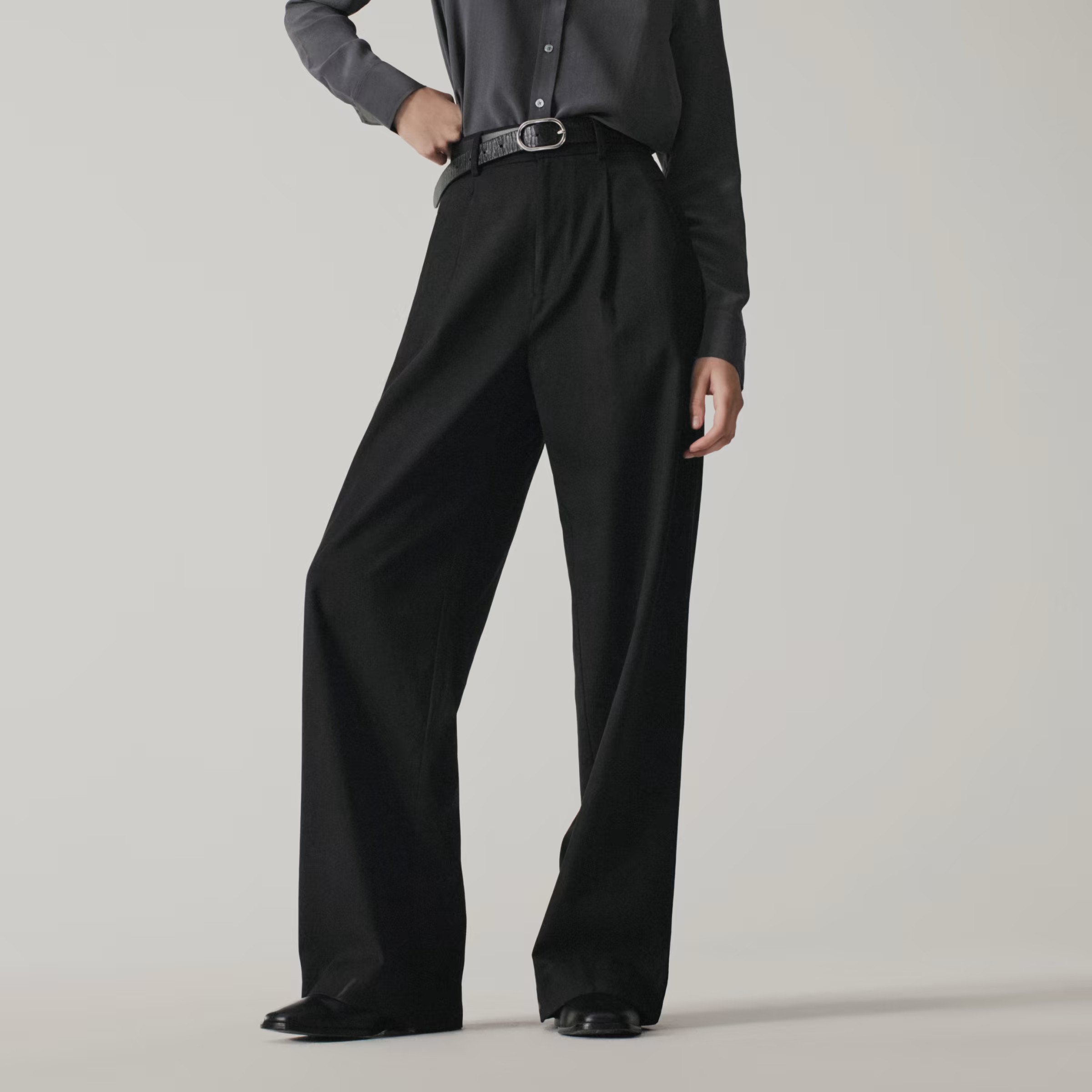 The Way-High Drape Pant | Everlane