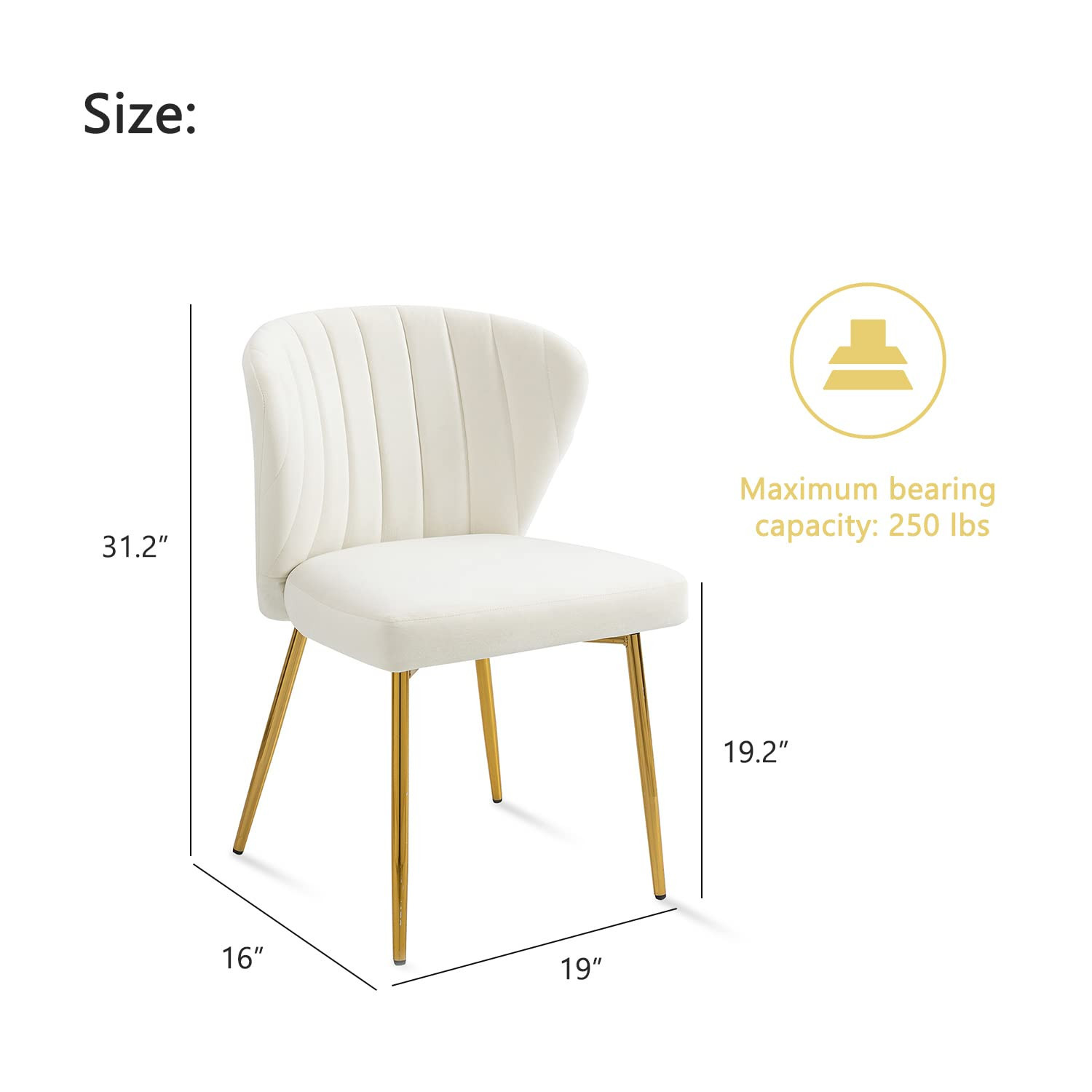 Nrizc Velvet Dining Chairs Set of 6, Modern Dining Chair with Golden Metal Legs, White Upholstere... | Amazon (US)