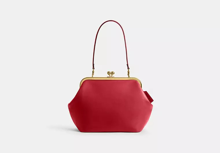 Kisslock Frame Bag 27 | Coach (US)