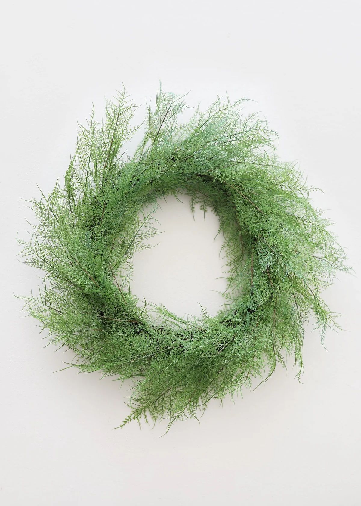 Outdoor Plastic Asparagus Fern Wreath - 26" | Afloral (US)