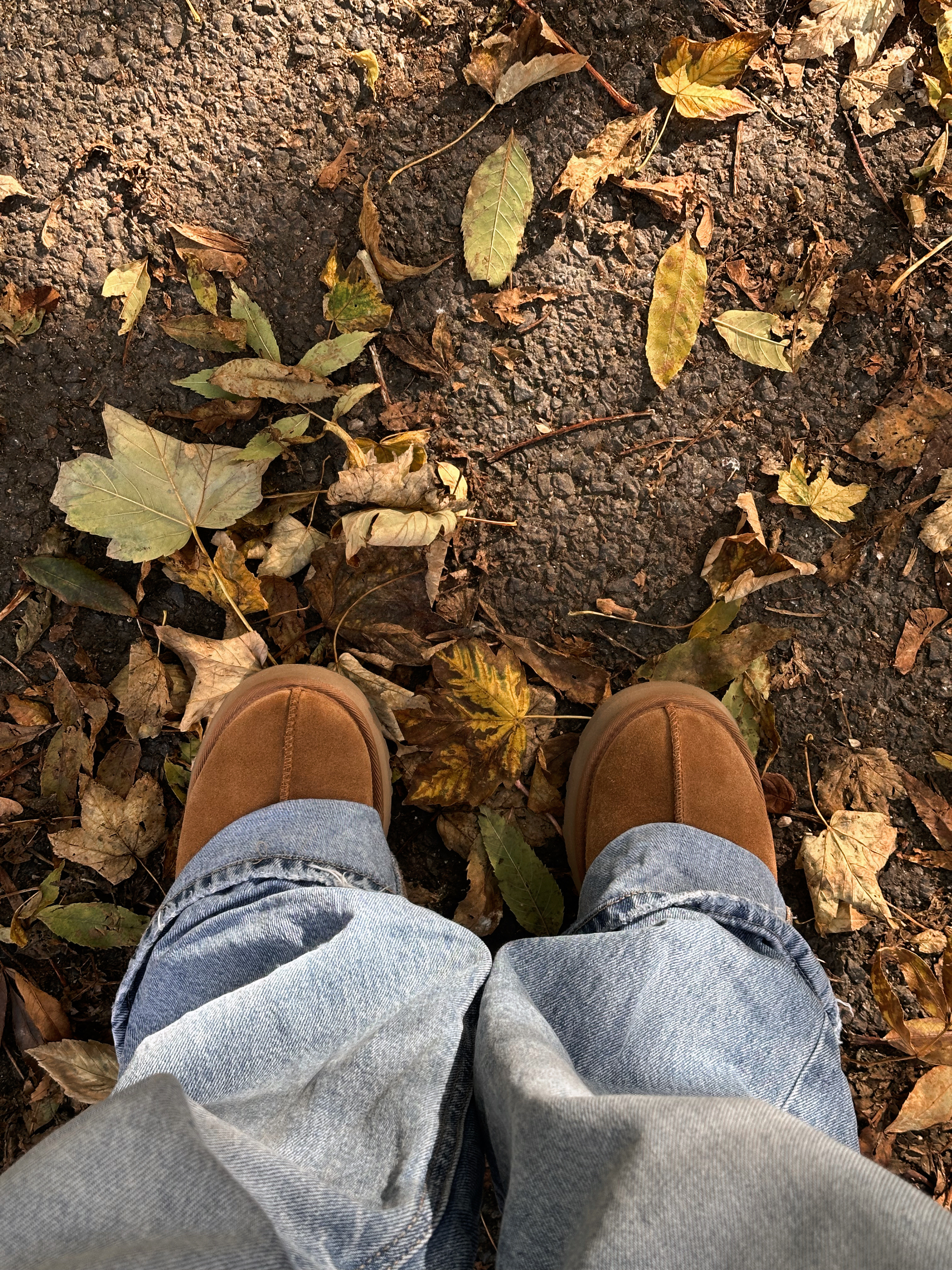 Cozy winter outfit 

#LTKFindsUnder100 #LTKU #LTKSeasonal