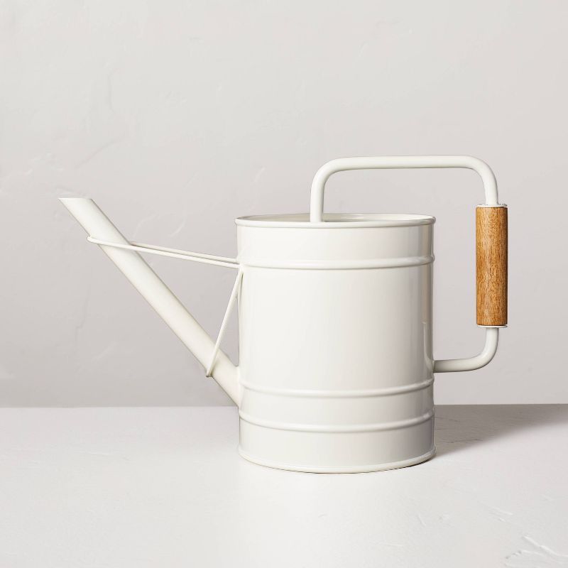 2.88L Painted Metal Watering Can Cream - Hearth & Hand™ with Magnolia | Target