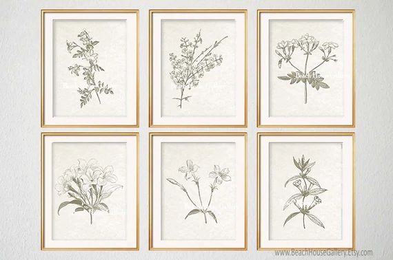 Vintage Botanical Prints, Modern Farmhouse Wall Art, Sepia Brown Botanical,  Jasmine Prints, Flor... | Etsy (US)