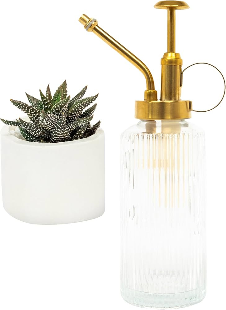 Useful Co. Clear Glass Plant Mister for inside, Mister for Plants, Plant Sprayer Mister, Decorati... | Amazon (US)