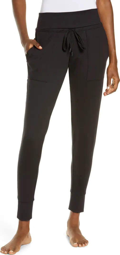 Velvety Soft Joggers | Nordstrom