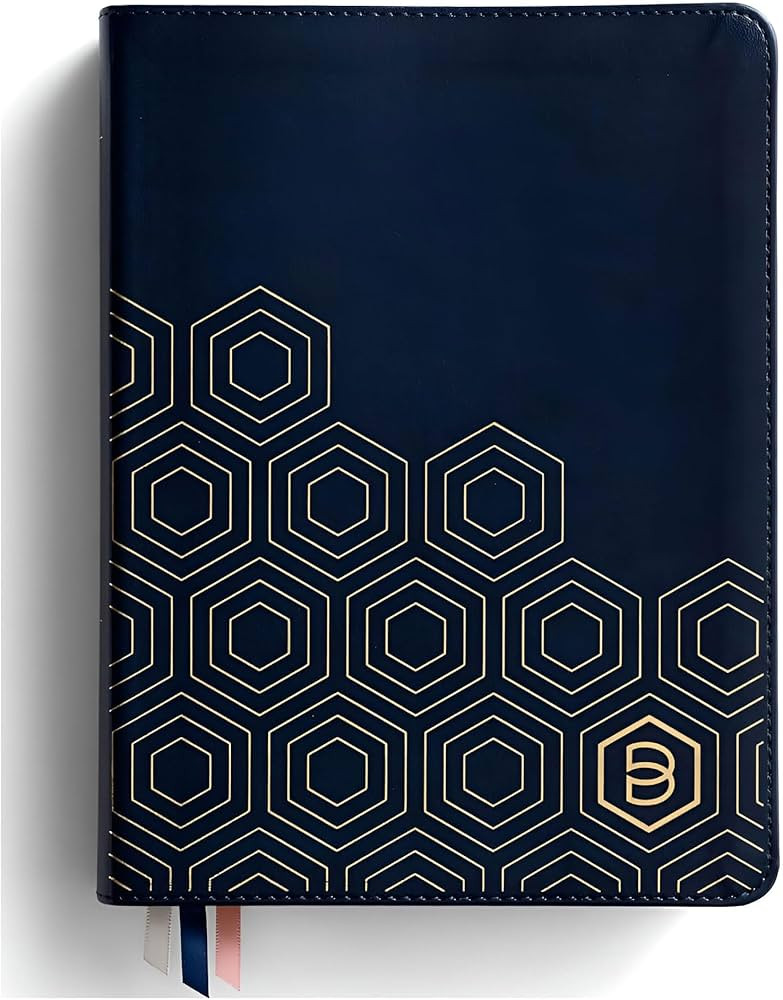 One Step Closer Bible NLT - Navy | Amazon (US)