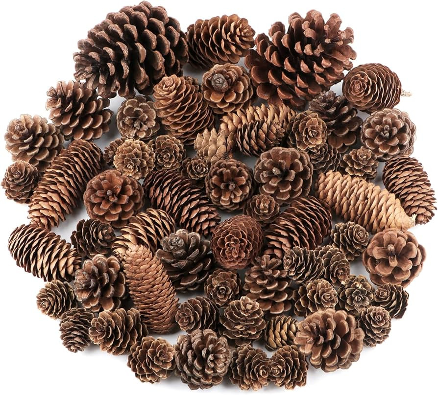 Jangostor 60 Pine Cones Decorations - Natural Bulk Package, Large Medium & Mini Sizes - Rustic Pi... | Amazon (US)