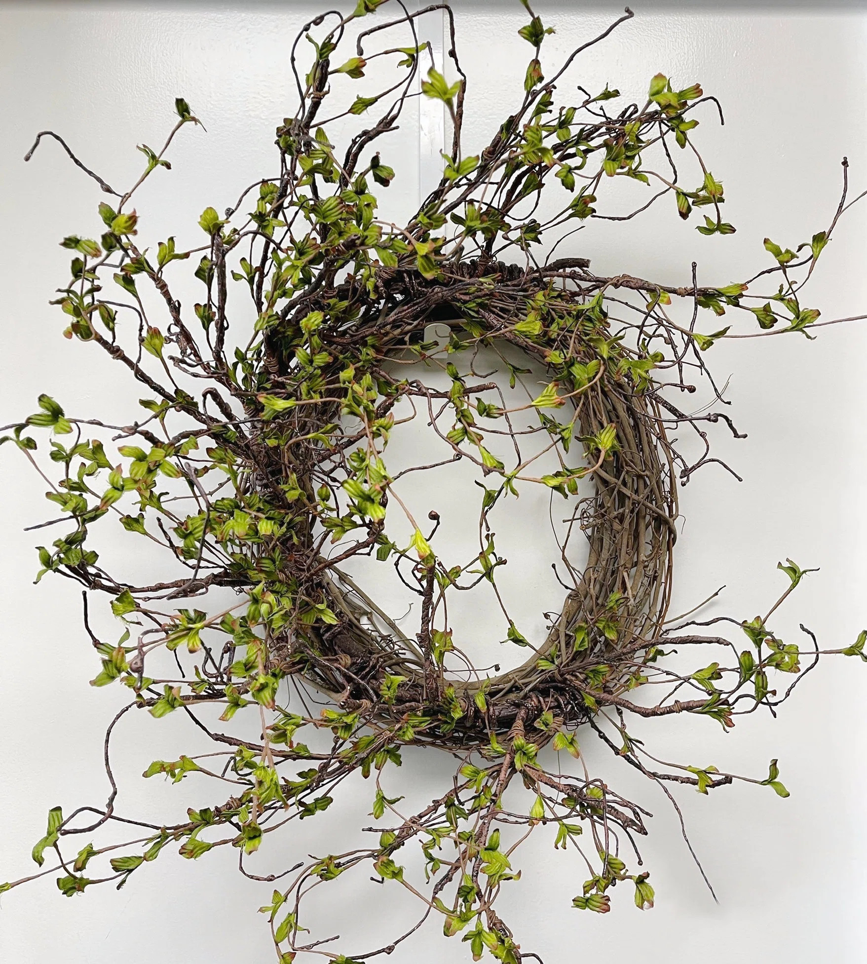 26" Spring Grapevine Wreath for Front Door | Wayfair North America