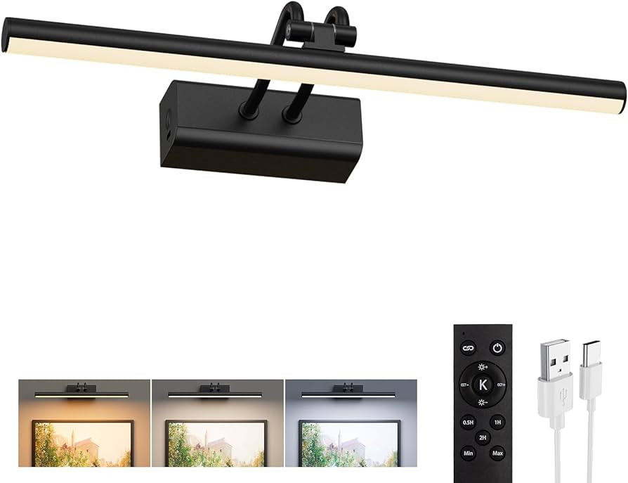 Battery Operated Picture Light for Wall, Wall Light for Living Room, 4000 mAh, 13.8'' Dimmable Ar... | Amazon (US)
