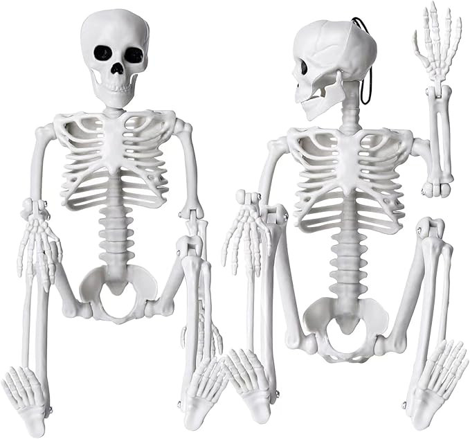 XIMISHOP 2pcs Skeleton Halloween Decoration, 16” Full Body Posable Halloween Hanging Plastic S... | Amazon (US)