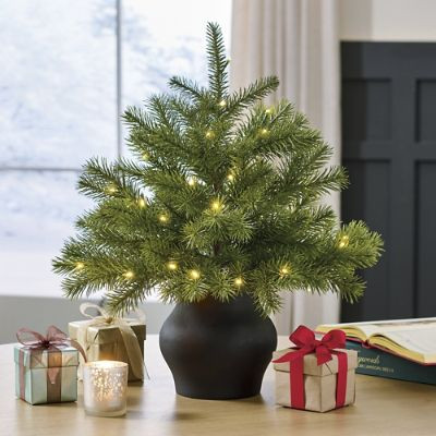 Whimsy Tabletop Tree in Pot | Grandin Road | Grandin Road