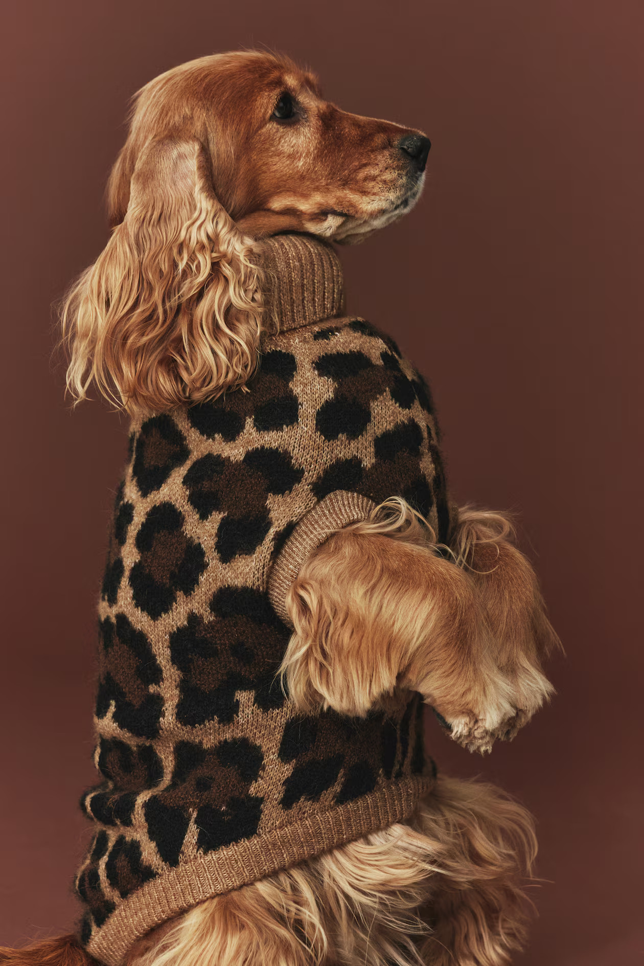 Jacquard-knit Dog Sweater - Beige/leopard print - Ladies | H&M US | H&M (US + CA)