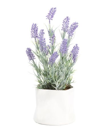 13in Lavender In Pinch Pot | TJ Maxx